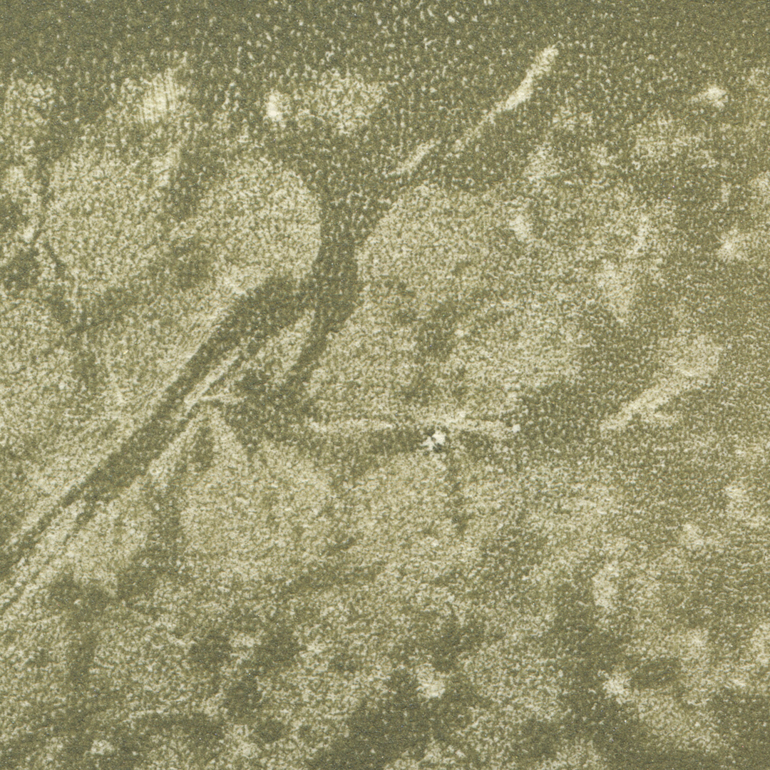 Poem Image
